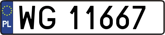 WG11667