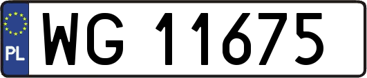 WG11675