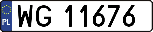 WG11676