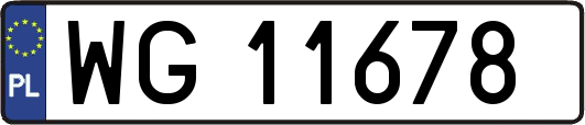 WG11678