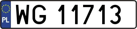 WG11713