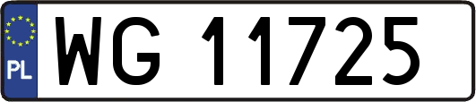 WG11725