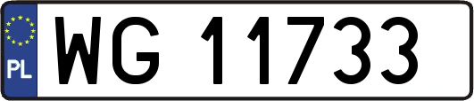 WG11733