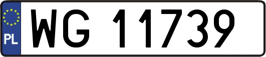 WG11739