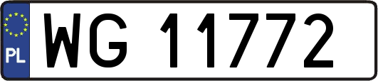 WG11772