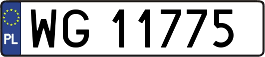 WG11775