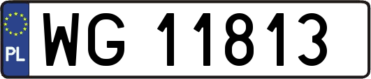 WG11813