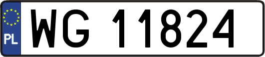 WG11824