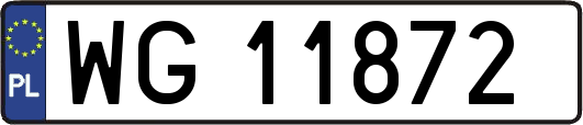 WG11872