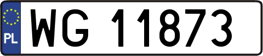 WG11873