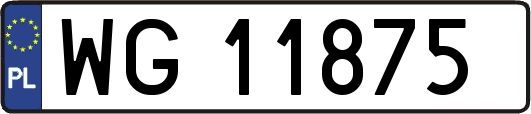 WG11875