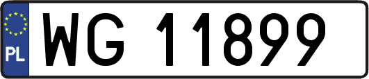 WG11899