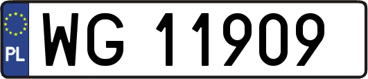 WG11909