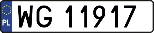 WG11917