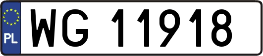 WG11918