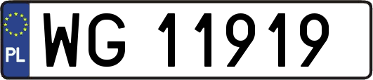 WG11919