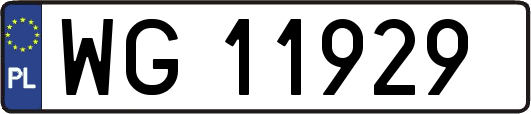 WG11929