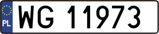 WG11973