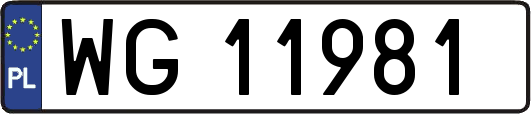 WG11981