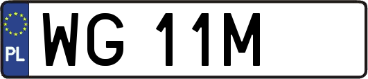 WG11M