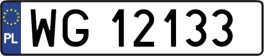 WG12133