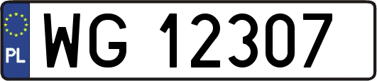 WG12307