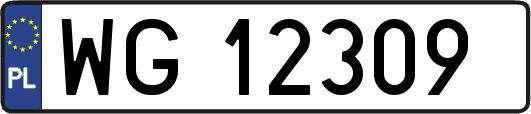 WG12309