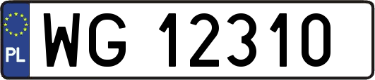 WG12310