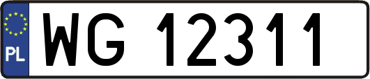 WG12311