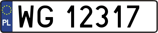 WG12317