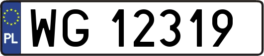 WG12319