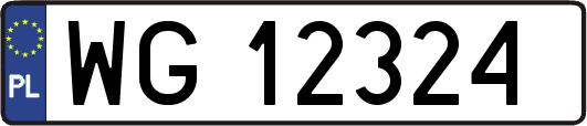 WG12324