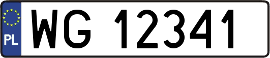 WG12341