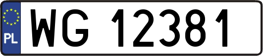 WG12381