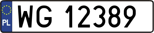 WG12389