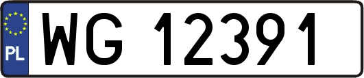 WG12391