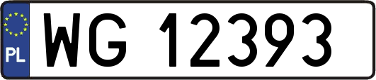WG12393
