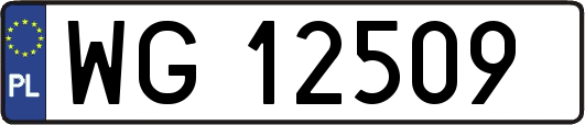 WG12509