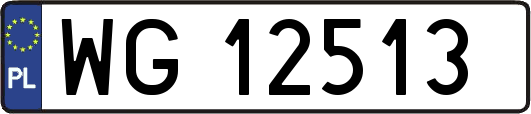 WG12513