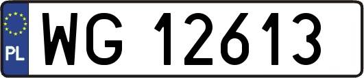 WG12613