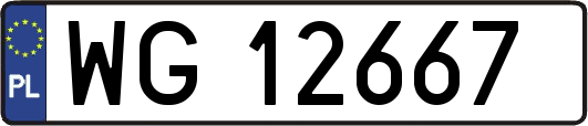 WG12667