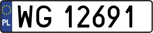 WG12691