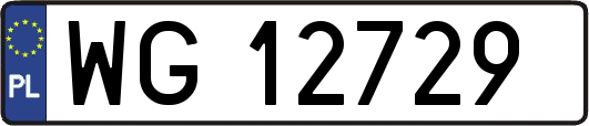 WG12729
