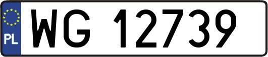 WG12739