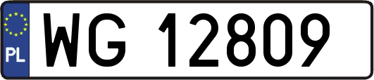 WG12809