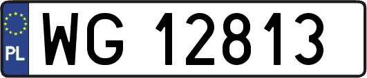 WG12813