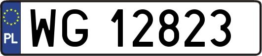WG12823