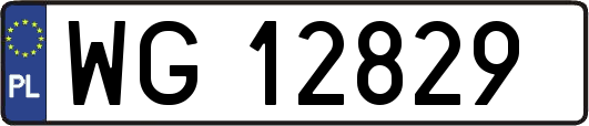 WG12829