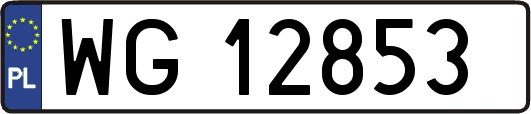 WG12853