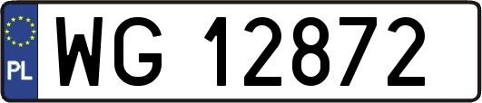 WG12872